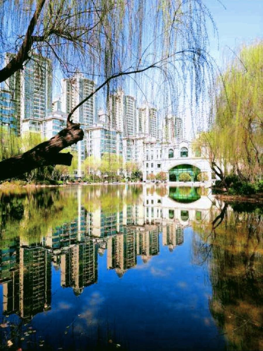 《九江文学社：北京头条》刘文轩先生《一日一诵一练笔第九集》（81——90）（图2）
