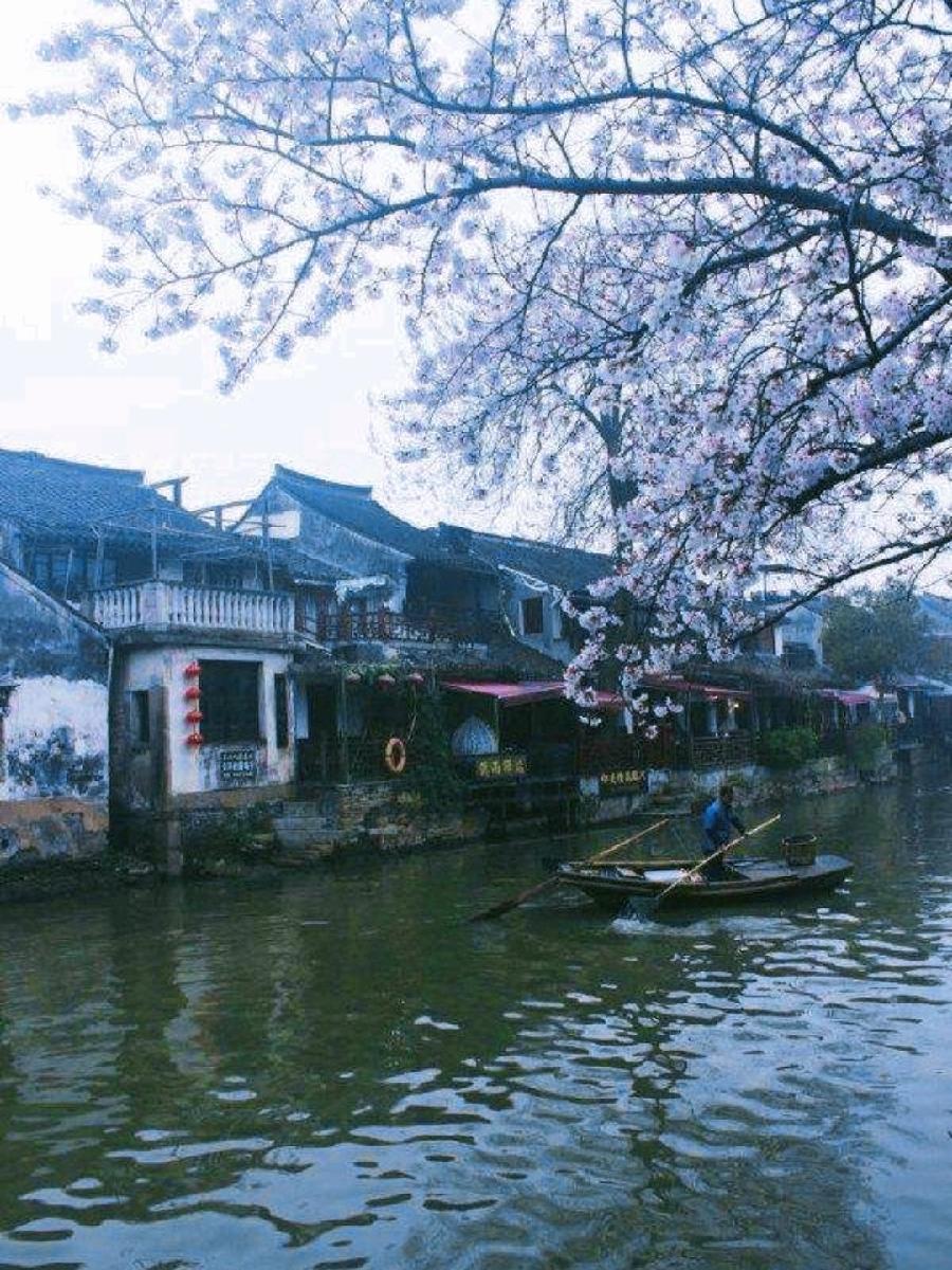 《杨荣华老师诗词欣赏》《九江文学社：北京头条》（图4）