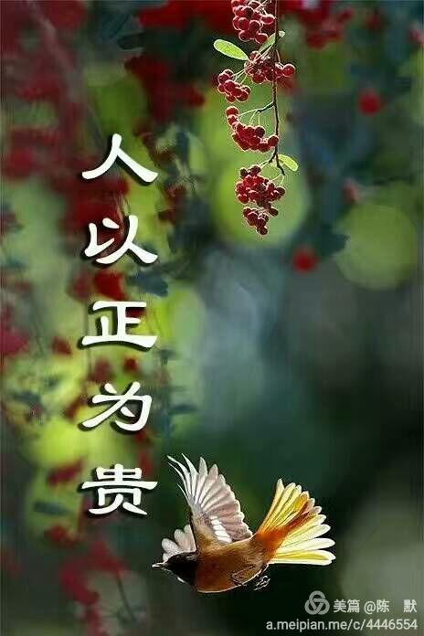 【新山东文学社】《做人，要做真实的人》作者/刘桂荣 主播/清风（图3）