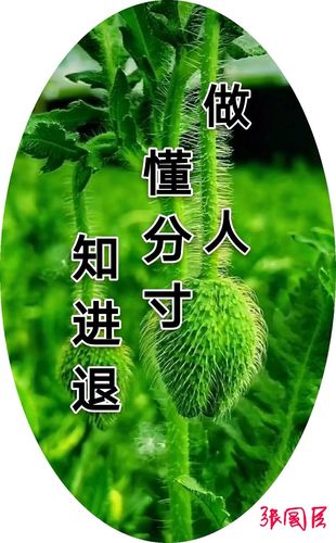 【新山东文学社】《做人，要做真实的人》作者/刘桂荣 主播/清风（图6）