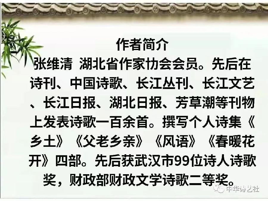 最后一片落叶 文/张维清（图3）