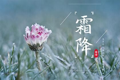 【经典推荐】曾培方//霜降感怀｛外一首｝（图2）