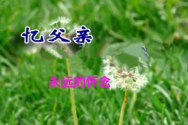 《通往天国的路》作者:秦砖【主播:知语】【桃源国际诗歌集团】用声音传递温暖 以朗诵致敬人生♬（图4）