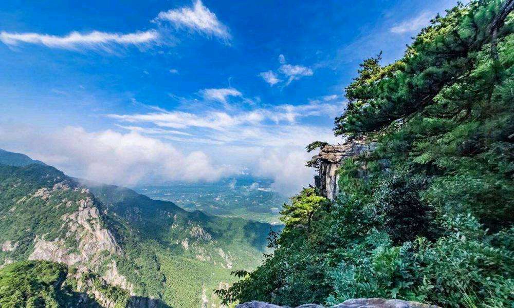 〖诗词专辑〗诗人 赵凤永（北京）【冰心文化传媒】（图17）