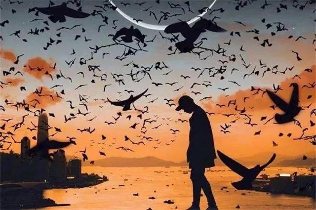 【华夏好诗词】分享优秀诗人方亮老师《人生没有后悔药》请欣赏（图5）