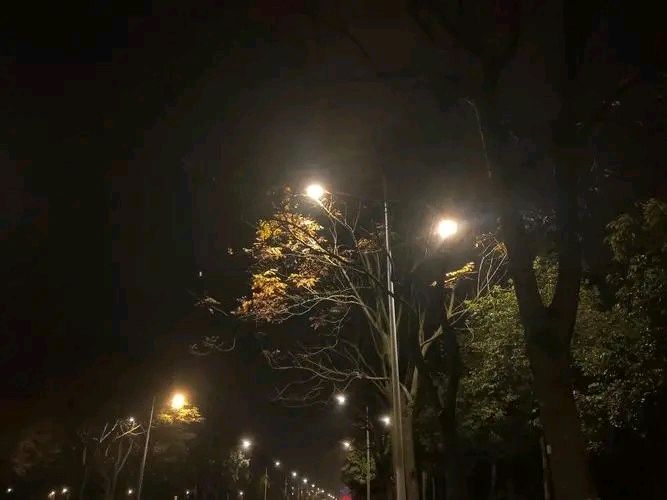 《风夜》作者:王德强（云南）【主播:知语】【桃源国际诗歌集团】用声音传递温暖 以朗诵致敬人生♬（图4）