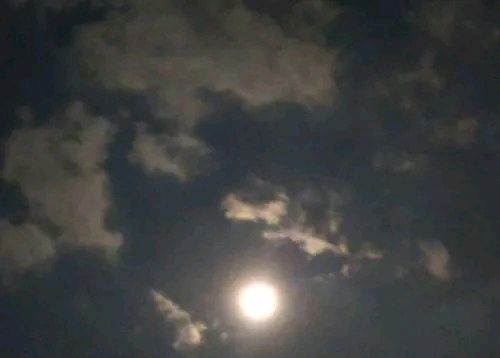 《风夜》作者:王德强（云南）【主播:知语】【桃源国际诗歌集团】用声音传递温暖 以朗诵致敬人生♬（图5）