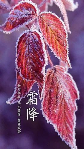 恋 秋‖文图/赵京江