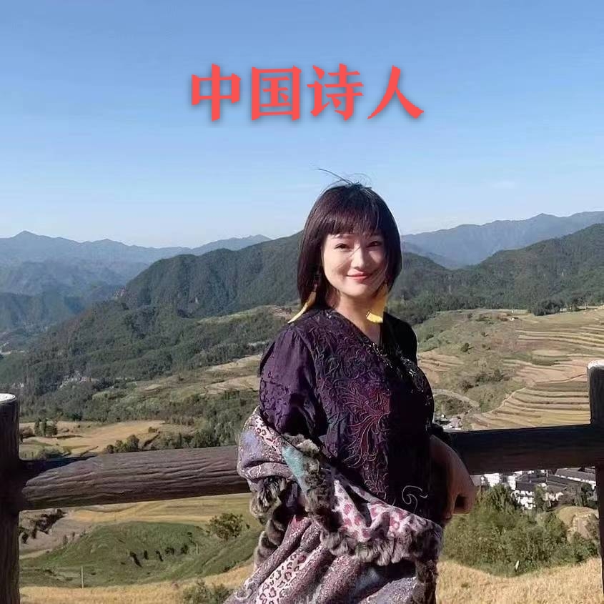 《亲！你怎么让我左右上下前后为难？》作者：太阳天子