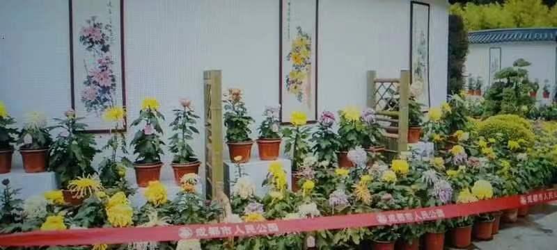 【华夏文学社】五绝 红萝卜（外一首）/周榜尧（图4）