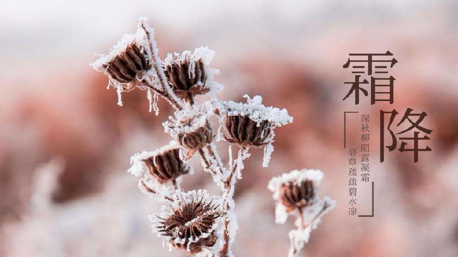 【神都诗社】第036期《霜降》(图20)
