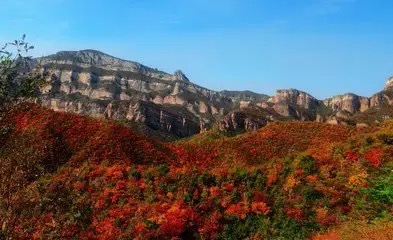 【新诗大观】鹤度岭秋色||文/姚勇（图2）