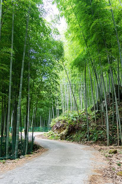 《月光》（外十九首）作者：陈水宝（图3）