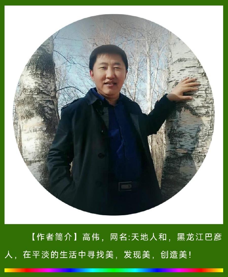 中华诗艺社黑龙江分社推荐/画家高伟:冰雪山水作品欣赏（图13）