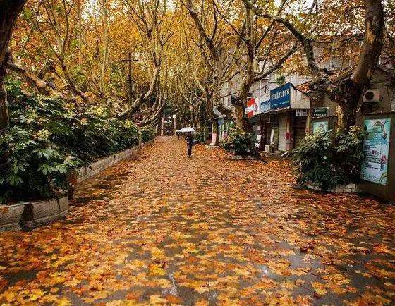 诗人于金奎:七律·塞北深秋雨吟（上平十五删）（图4）
