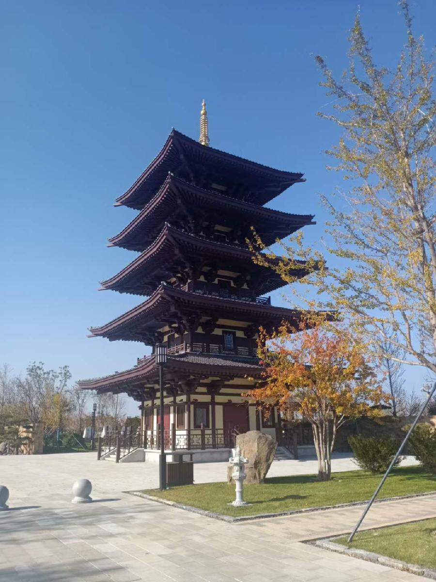 中华诗艺社黑龙江分社推介/邱彬:辽南秋色(通韵)（图4）