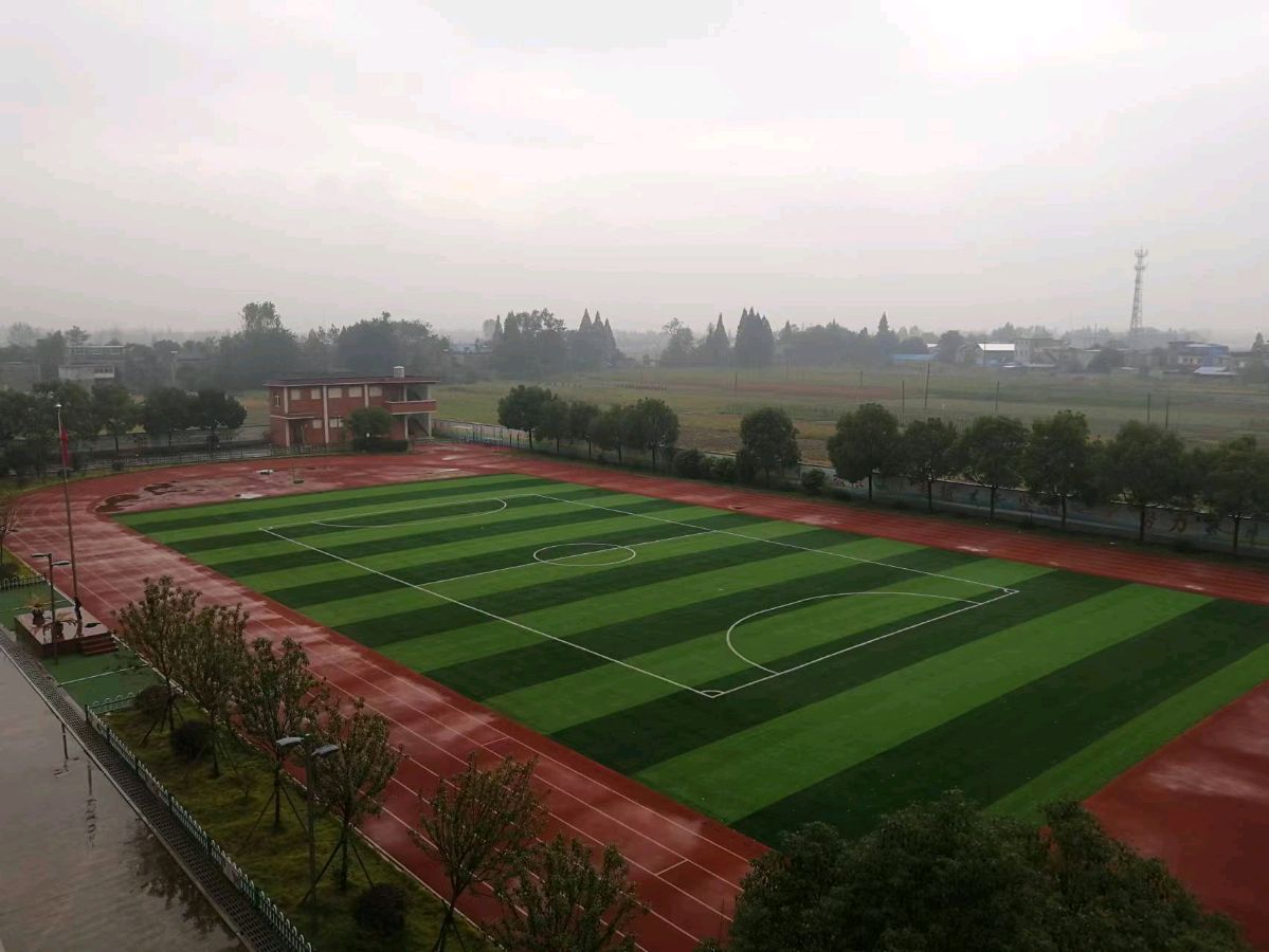 大同中学民生工程花满园