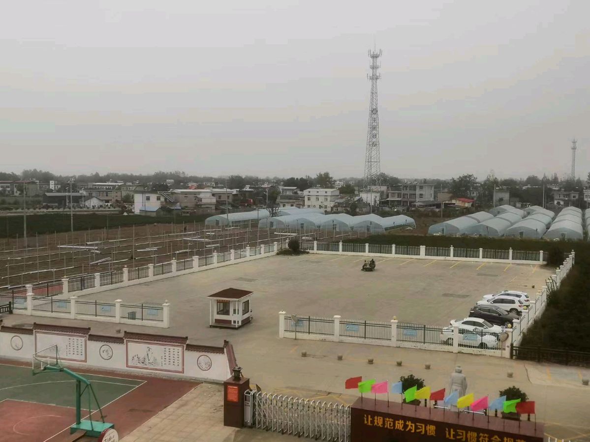 大同中学民生工程花满园(图6)