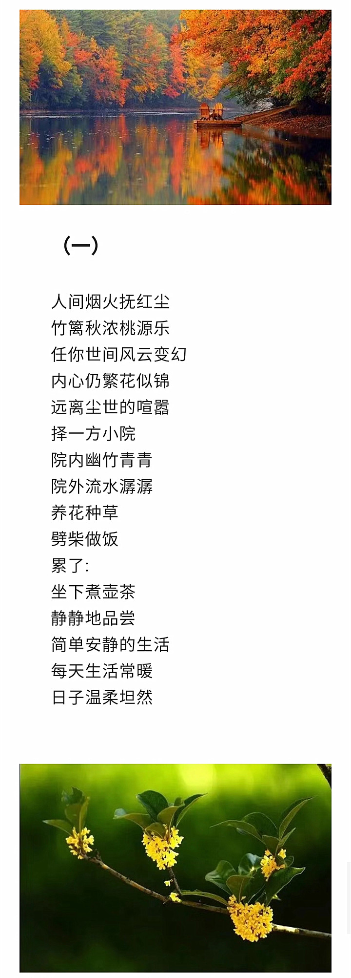 寰俊鍥剧墖_20221029184252_鍓湰.jpg