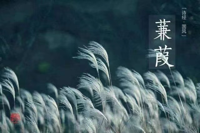 欣赏 《深秋的怀念》作者:陈保付(图4)