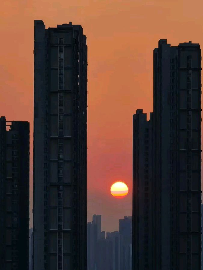 七言古诗·南湖花园城行 文/沈祥源 京津沪头条（图20）