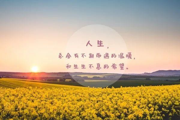 【经典推荐】廖万友老师//步韵奉和伍玉龙老师｛自嘲｝（图4）