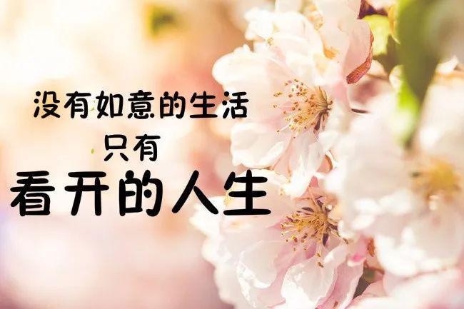 【经典推荐】廖万友老师//步韵奉和伍玉龙老师｛自嘲｝（图6）