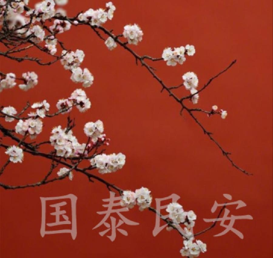 彦忠诗歌《庆祝二十大胜利召开有感》主播：潘旭东 编辑：小鱼儿 【北疆头条】（第331期）（图13）