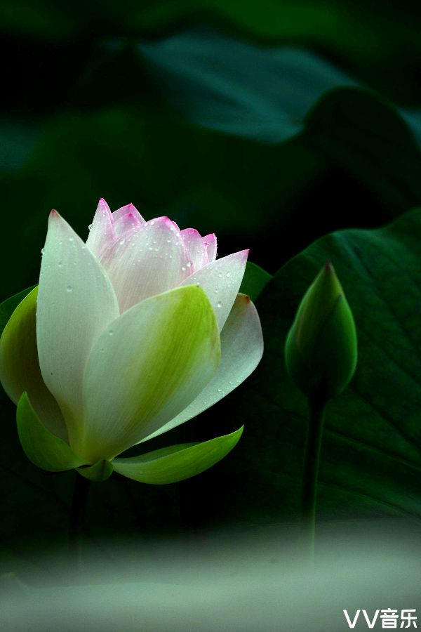 〖古风小辑〗诗人 张吉成〔山西〕【冰心文化传媒】（图12）
