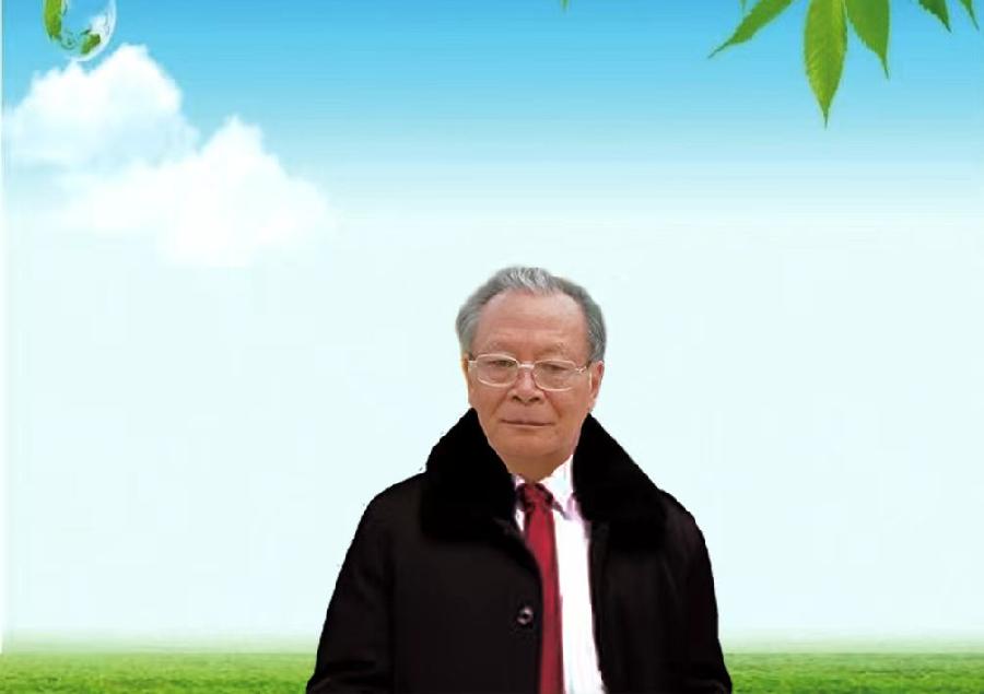 巴黎文学苏沪浙诗社011期微刊《一瓢水墨写连云》(图29)