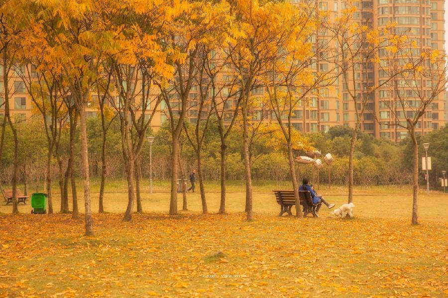【潇湘文学社】潇湘陶菊诗社《总475期》(晚秋)(图15)