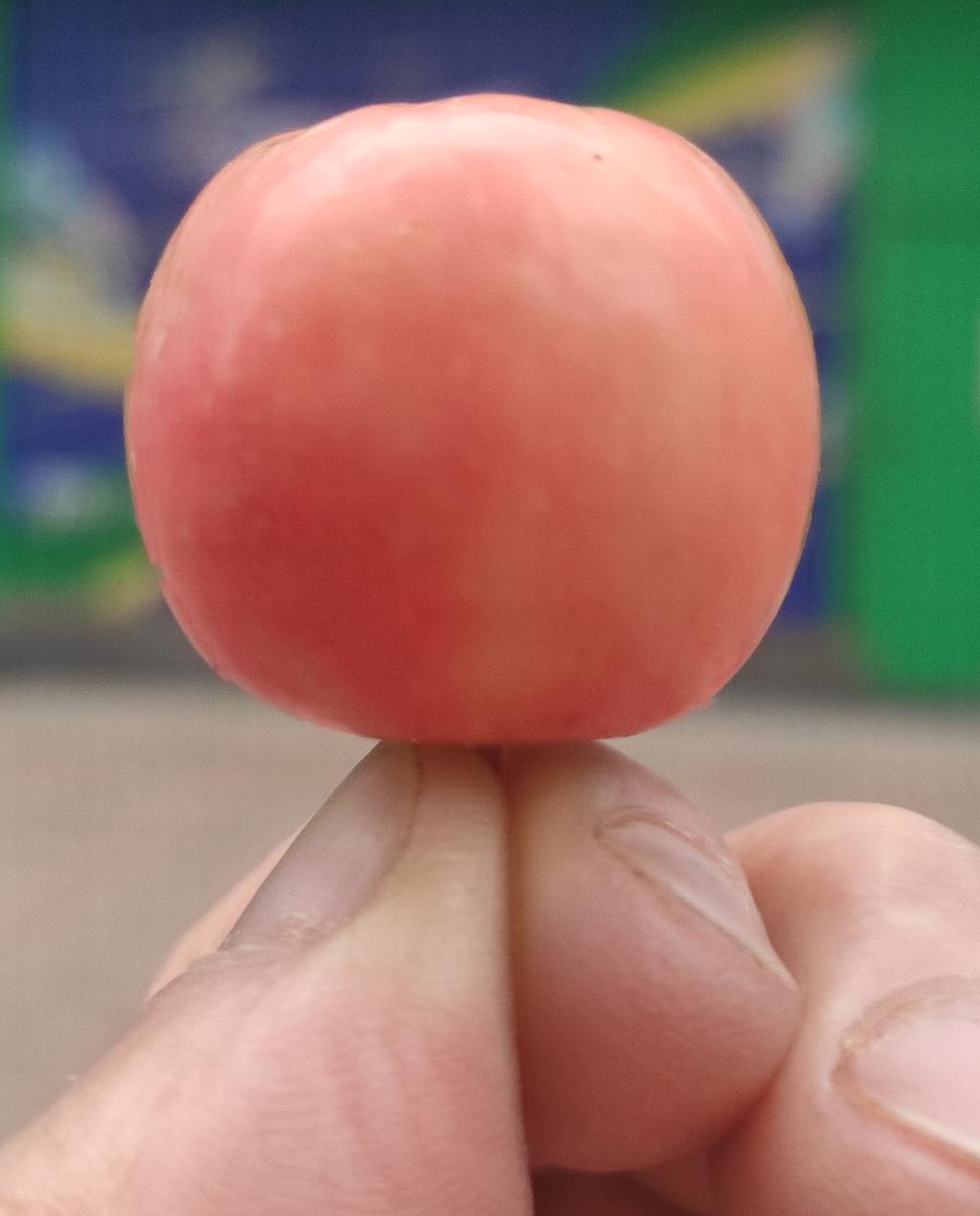 绿色健康码 原作/梁立锋（图5）