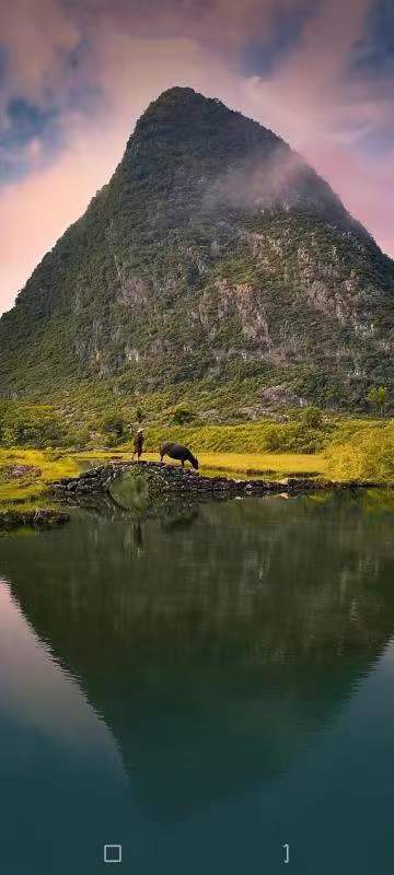 诗人林杨:放牧水光山色（图4）