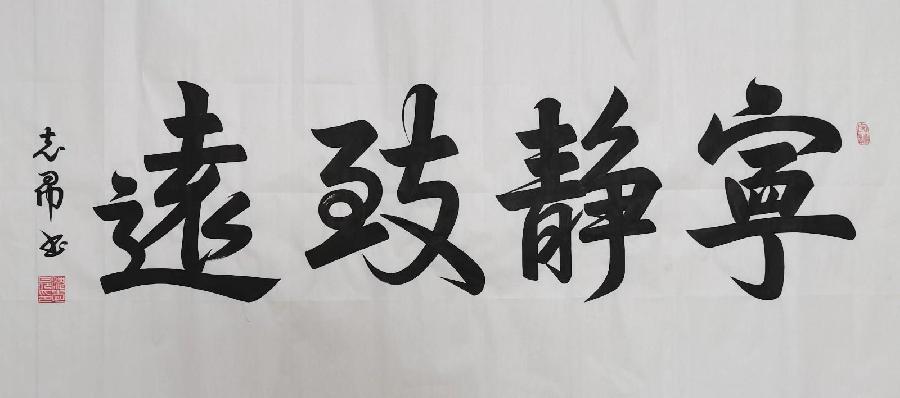 《世界名家》《九江文学社:北京头条》著名艺术家沈志昂先生箴言精选(图10)