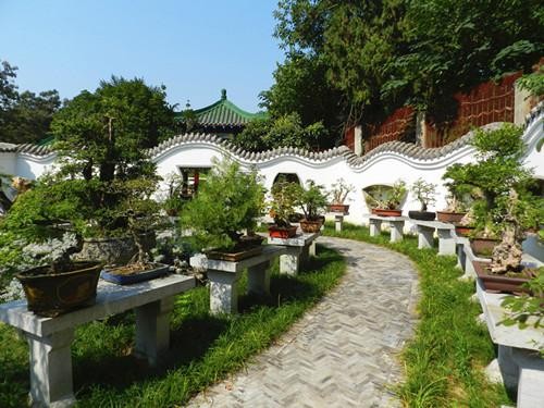 【经典推荐】“农民诗人”曹南强//奋进新征程 建功新时代｛系列作品展十九首｝（图4）