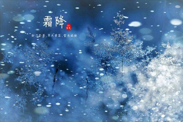 【经典推荐】“农民诗人”曹南强//奋进新征程 建功新时代｛系列作品展十九首｝（图10）