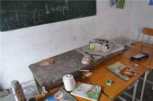 激情燃烧写人生/王国龙