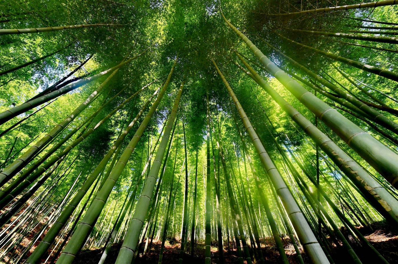 〖诗词小辑〗 诗人 郑国富（河北）【冰心文化传媒】（图3）