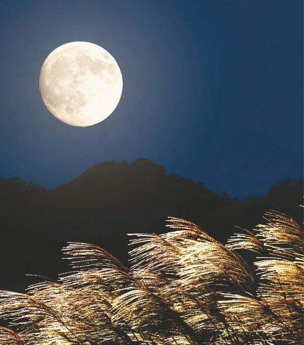 诗人林杨:寒霜渡月夜（图5）