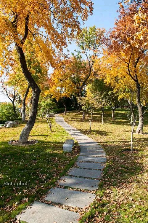 《一片红叶》作者:秋谷【主播:刘树清】【桃园国际诗歌集团】用声音传递温暖以朗诵致敬人生♬（图6）