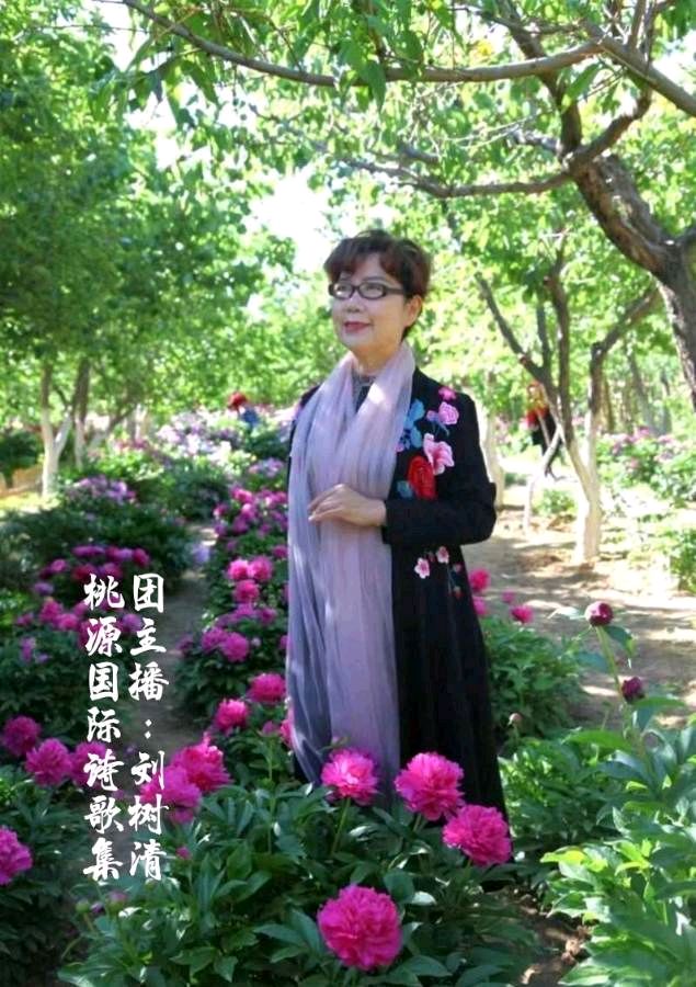 《一片红叶》作者:秋谷【主播:刘树清】【桃园国际诗歌集团】用声音传递温暖以朗诵致敬人生♬（图13）