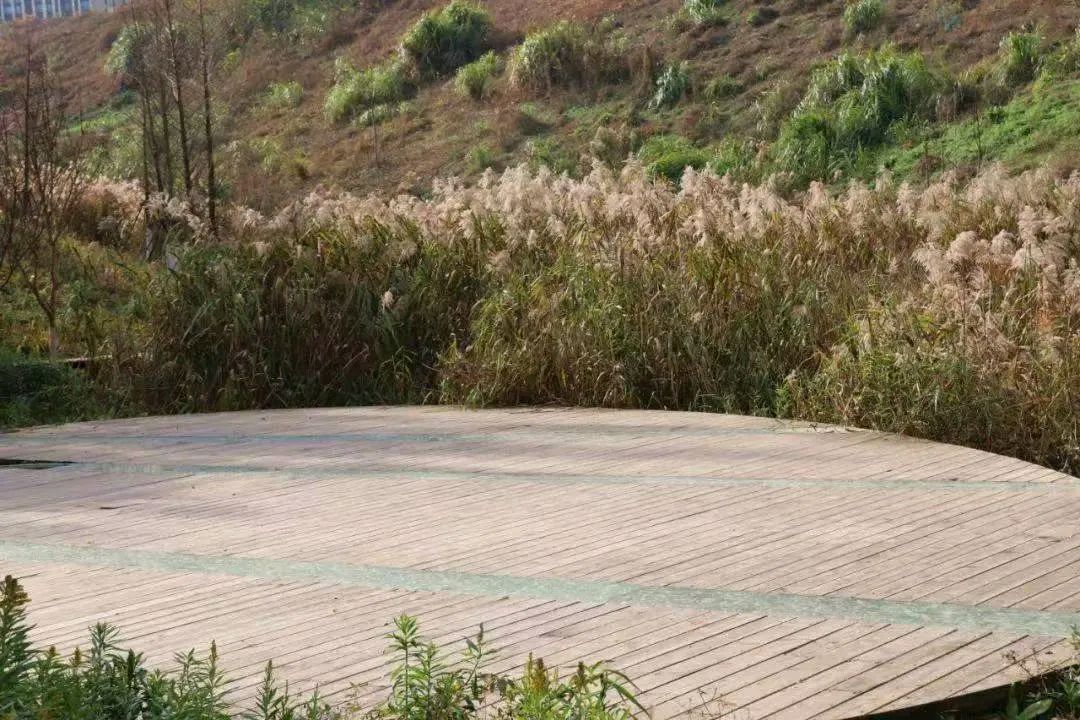 方台钓韵（图5）