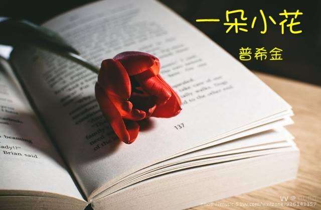 一朵小花作者:普希金