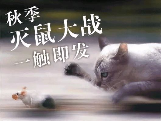 ​鹧鸪天*霜天难晓（外二首）王香谷（悉尼）【冰心文化传媒】（图4）