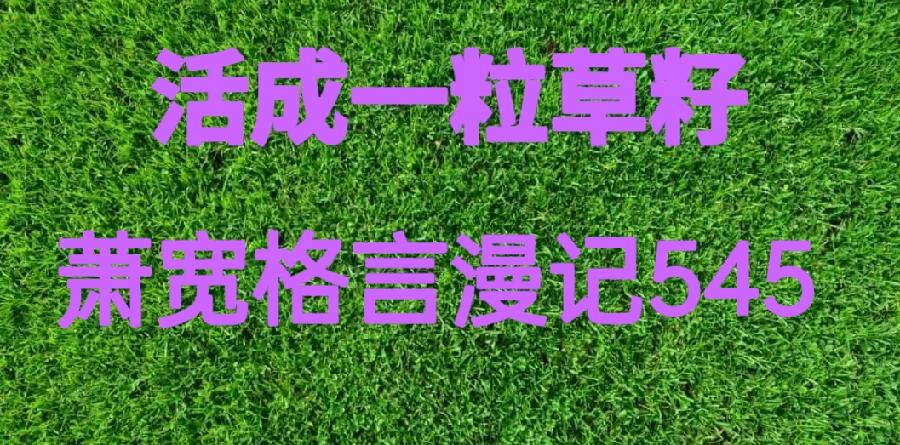 【雅诗总会】活成一粒草籽:萧宽格言漫记545(图2)