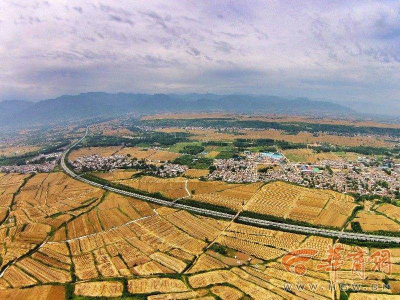 〖诗词小辑〗诗人 薛有毅（陕西）【冰心文化传媒】（图9）