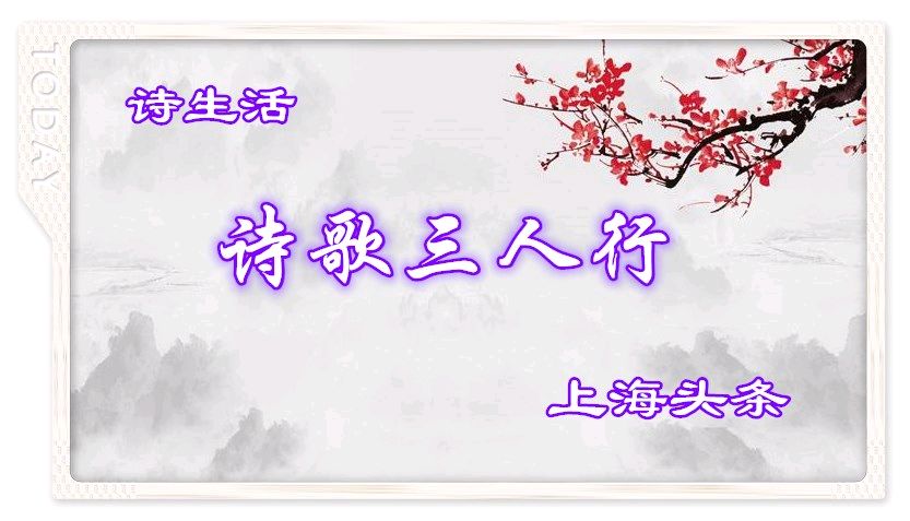 【上海头条】诗歌三人行126期‖孙彦珠 知秋 崖树（图2）