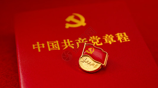 【金榜头条】推介（黑龙江）优秀诗人陈雪云《玉女摇仙佩•党徽胸前亮》请欣赏（图6）
