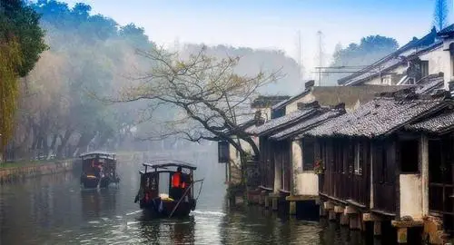 《散文诗*随想曲》作者:王明雪(雪歌)主播:英霞【桃园国际诗歌集团】用声音传递温暖以朗诵致敬人生♬（图7）