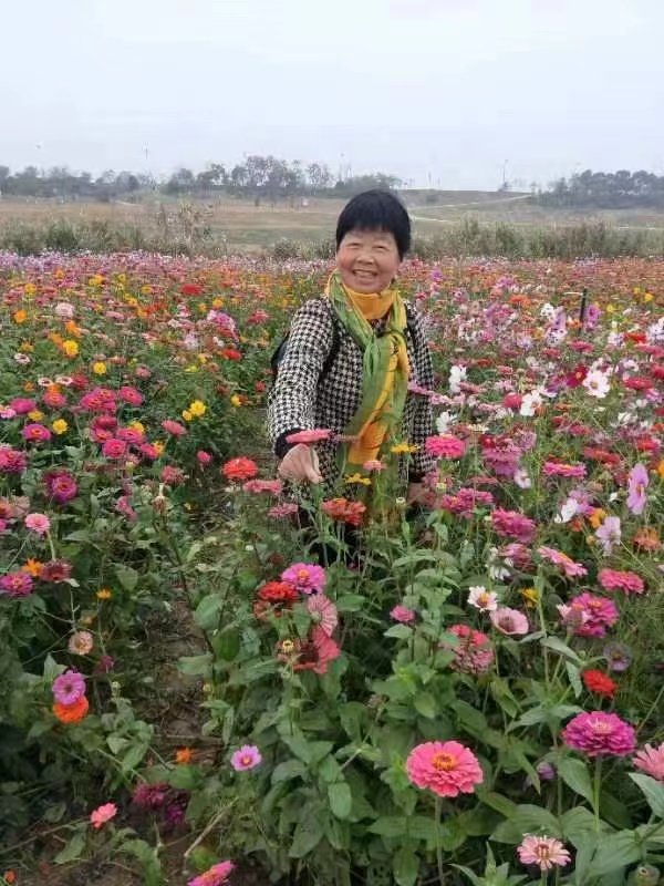 毛壮男与师专的学友聚会美好留念（图23）